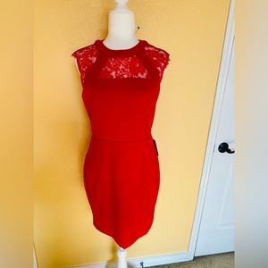 Express Red Dress